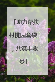助力帮扶村桃园套袋，共筑丰收梦
