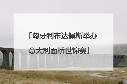 匈牙利布达佩斯举办意大利面桥世锦赛