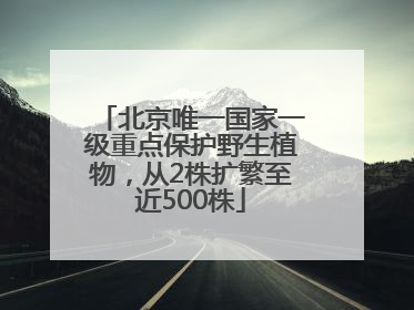 北京唯一国家一级重点保护野生植物，从2株扩繁至近500株