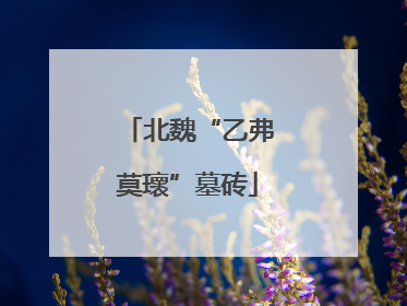 北魏“乙弗莫瓌”墓砖