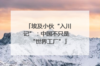 埃及小伙“入川记”：中国不只是“世界工厂”