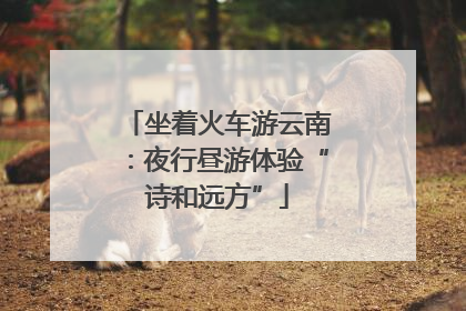 坐着火车游云南：夜行昼游体验“诗和远方”