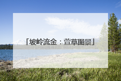 坡岭流金：萱草图景