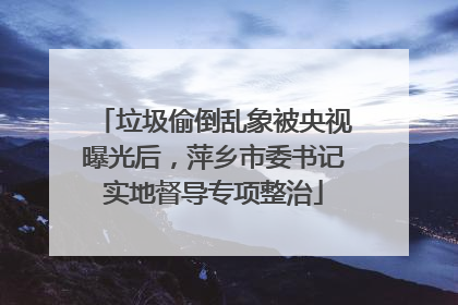 垃圾偷倒乱象被央视曝光后，萍乡市委书记实地督导专项整治