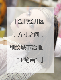 合肥经开区：方寸之间，细绘城市治理“工笔画”