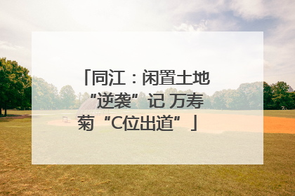 同江：闲置土地“逆袭”记 万寿菊“C位出道”