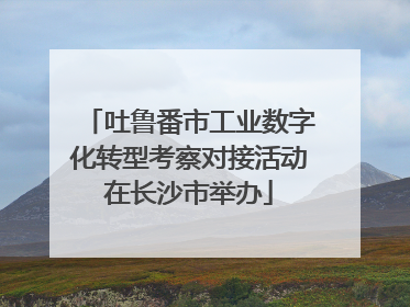 吐鲁番市工业数字化转型考察对接活动在长沙市举办