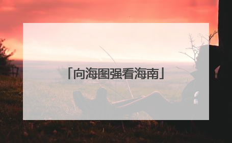 向海图强看海南