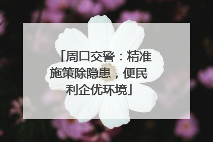 周口交警：精准施策除隐患，便民利企优环境