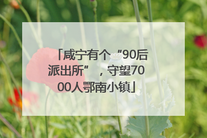咸宁有个“90后派出所”，守望7000人鄂南小镇