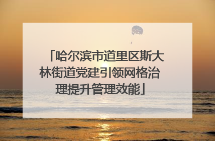 哈尔滨市道里区斯大林街道党建引领网格治理提升管理效能