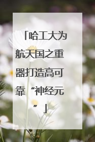 哈工大为航天国之重器打造高可靠“神经元”