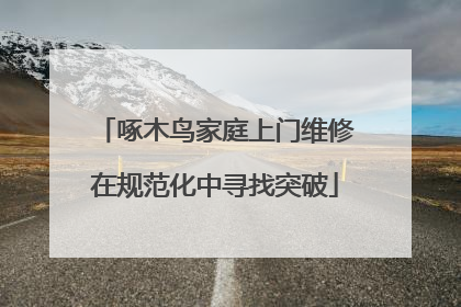 啄木鸟家庭上门维修在规范化中寻找突破