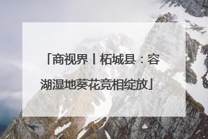 商视界丨柘城县：容湖湿地葵花竞相绽放