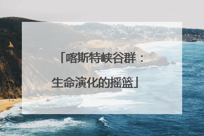 喀斯特峡谷群：生命演化的摇篮