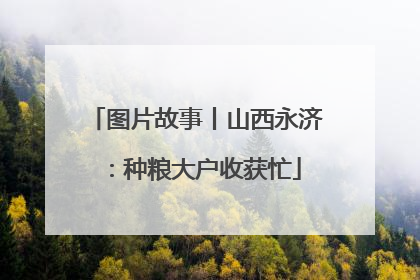 图片故事丨山西永济：种粮大户收获忙