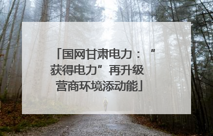 国网甘肃电力：“获得电力”再升级 营商环境添动能