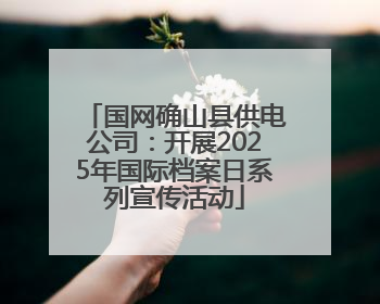 国网确山县供电公司：开展2025年国际档案日系列宣传活动