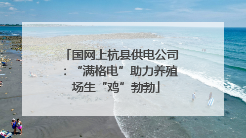 国网上杭县供电公司：“满格电”助力养殖场生“鸡”勃勃