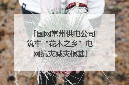 国网常州供电公司筑牢“花木之乡”电网抗灾减灾根基