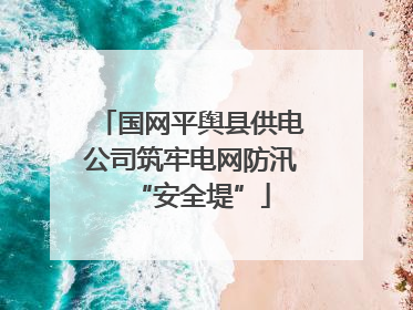 国网平舆县供电公司筑牢电网防汛“安全堤”