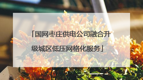 国网枣庄供电公司融合升级城区低压网格化服务