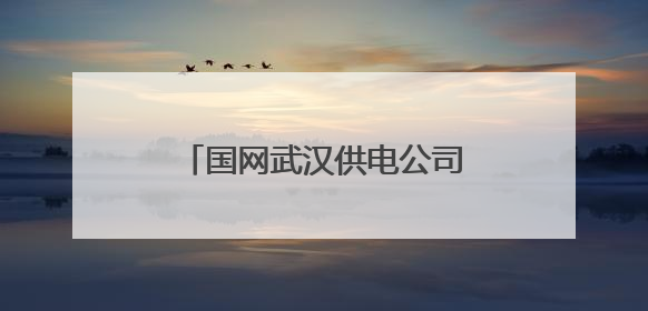 国网武汉供电公司：电力可靠供应护航高考学子圆梦