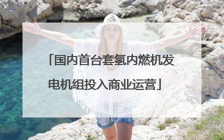 国内首台套氢内燃机发电机组投入商业运营
