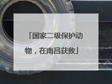 国家二级保护动物，在南昌获救