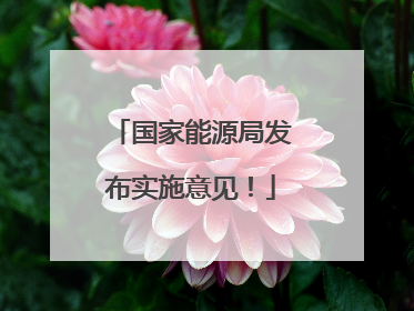 国家能源局发布实施意见！