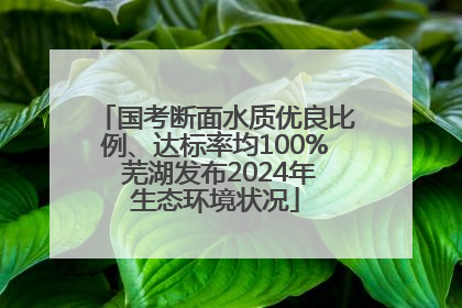 国考断面水质优良比例、达标率均100% 芜湖发布2024年生态环境状况