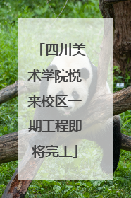 四川美术学院悦来校区一期工程即将完工