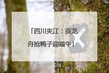 四川夹江：赛龙舟抢鸭子迎端午