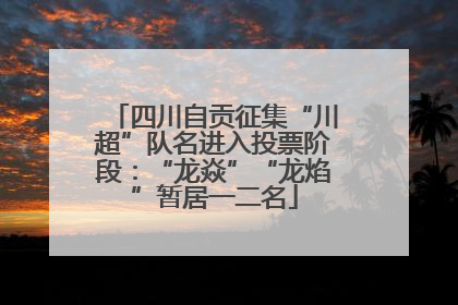四川自贡征集“川超”队名进入投票阶段：“龙焱”“龙焰”暂居一二名
