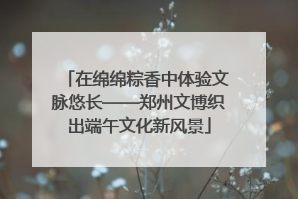 在绵绵粽香中体验文脉悠长——郑州文博织出端午文化新风景