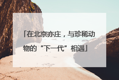 在北京亦庄，与珍稀动物的“下一代”相遇