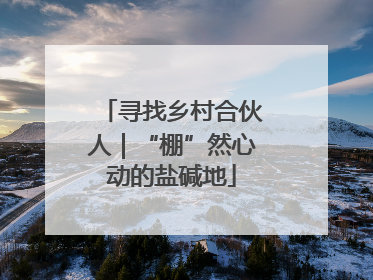 寻找乡村合伙人｜“棚”然心动的盐碱地