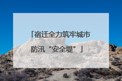 宿迁全力筑牢城市防汛“安全堤”