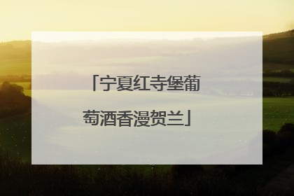 宁夏红寺堡葡萄酒香漫贺兰