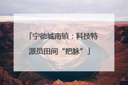 宁德城南镇：科技特派员田间“把脉”