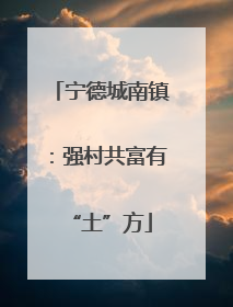 宁德城南镇：强村共富有“土”方