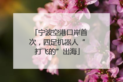 宁波空港口岸首次，四足机器人“打飞的”出海