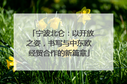 宁波北仑：以开放之姿，书写与中东欧经贸合作的新篇章