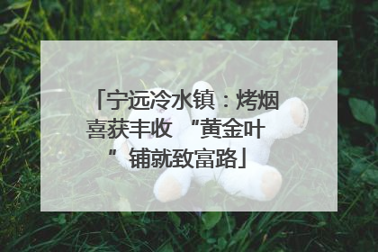 宁远冷水镇：烤烟喜获丰收 “黄金叶”铺就致富路