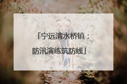 宁远清水桥镇：防汛演练筑防线