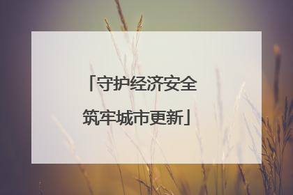 守护经济安全 筑牢城市更新
