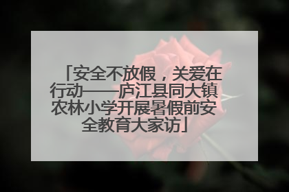 安全不放假，关爱在行动——庐江县同大镇农林小学开展暑假前安全教育大家访