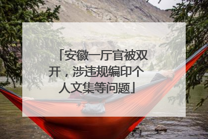 安徽一厅官被双开，涉违规编印个人文集等问题
