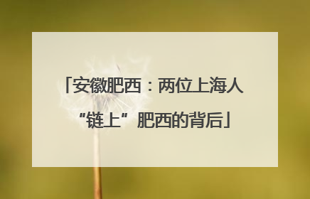 安徽肥西：两位上海人“链上”肥西的背后