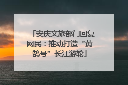 安庆文旅部门回复网民：推动打造“黄鹄号”长江游轮